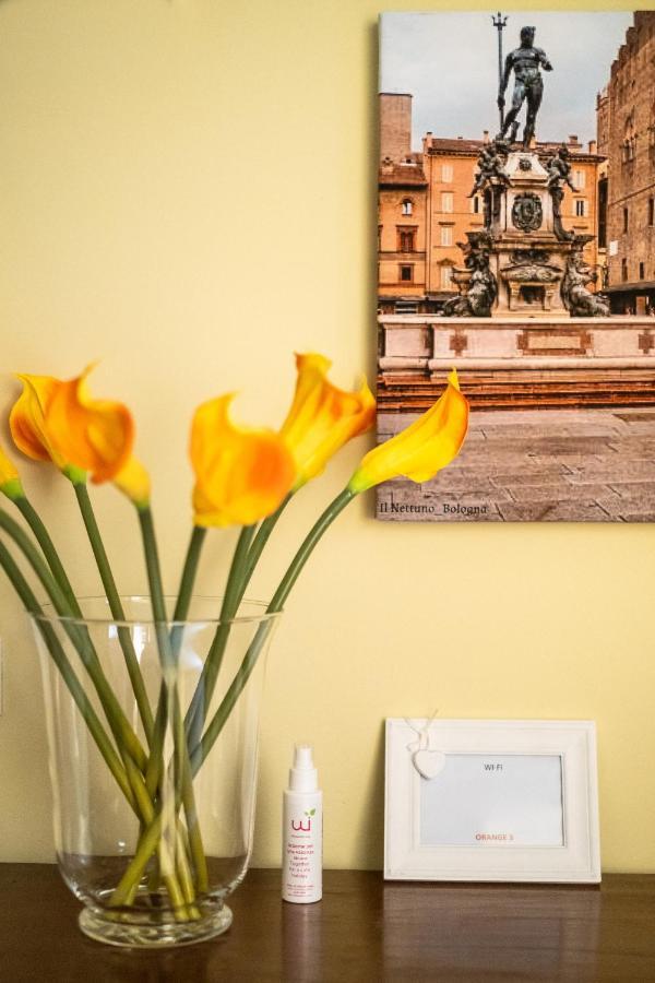 San Donato Cozy Apartment By Wonderful Italy 博洛尼亚 外观 照片